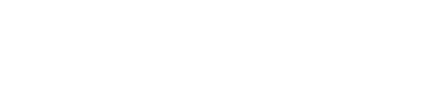PhaseOne Partners